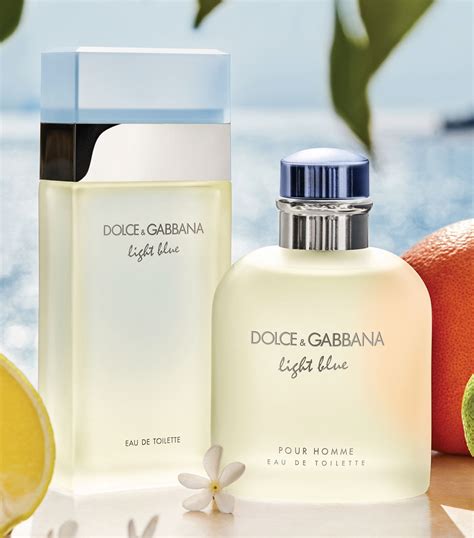 blue light dolce gabbana 100ml|dolce and gabbana light blue cheapest price.